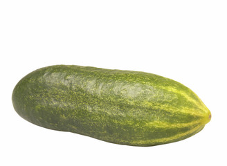Cucumber