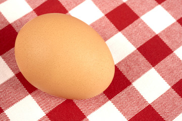 Egg