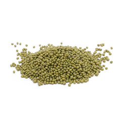 Mung bean