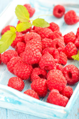 Himbeeren lose auf Tablett