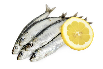 five sardines