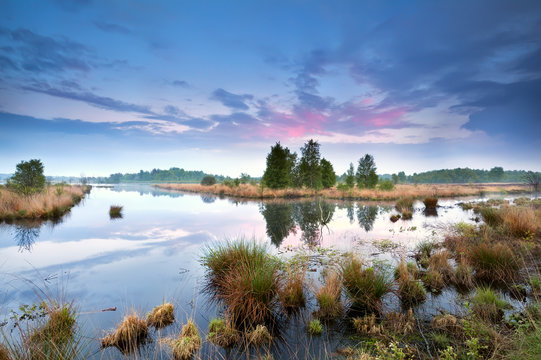 sunset over swamp in Drenthe