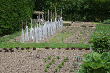 jardin