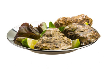 Fresh oyster