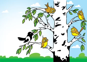 Abwaschbare Fototapete Vögel im Wald Vögel auf einer Birke