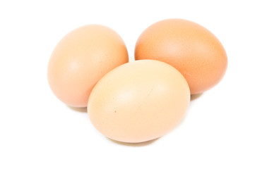 Egg