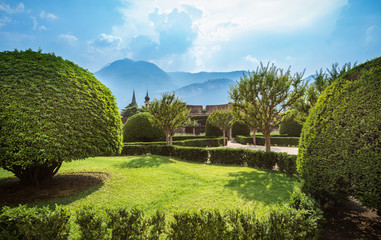 Summer garden with mountain in the background