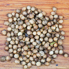 dried coriander fruit seeds