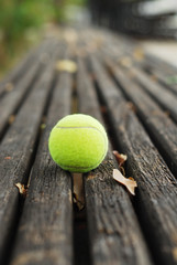 Tennis ball on wood floor © yoki5270