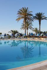 Fototapeta na wymiar palm trees reflecting in swimming pool