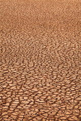 cracked earth