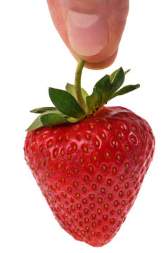 Une fraise de Plougastel