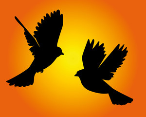 Obraz na płótnie Canvas two flying birds