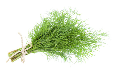 bunch fresh dill herb isolated on white background