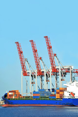 Container stack and ship under crane bridge