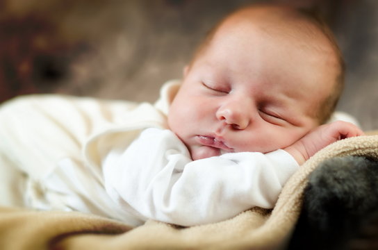 portrait of a beautiful sleeping baby