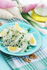 spring salad from a long radish