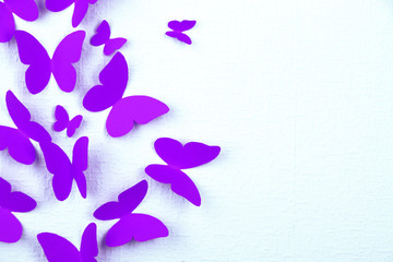 Obraz na płótnie Canvas Papierowe motyle mucha na ścianie w różnych kierunkach