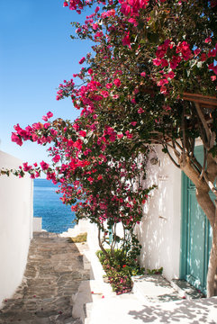 Traditional Greek Alley On Sifnos Island, Greece