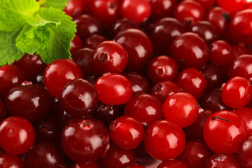 Ripe red cranberries, close up.