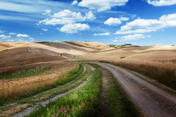 Road between the Fields of Tuscany, Italy