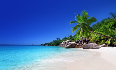 beach at Praslin island, Seychelles