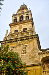 Obraz premium Campanario de la Mezquita-Catedral de Córdoba, naranjo