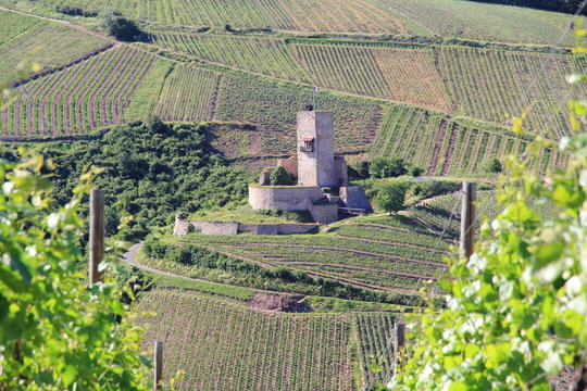 Ch&acirc;teau fort du Wineck &agrave; Katzenthal en Alsace