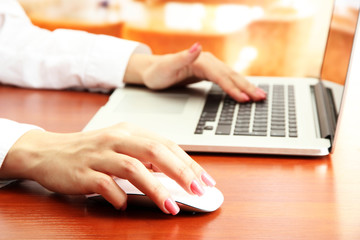 Female hands working on laptop, on bright background