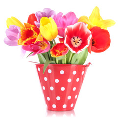 Beautiful tulips in bouquet isolated on white