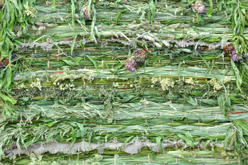 Mat of plants