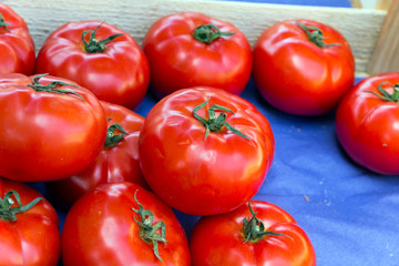 Tomaten