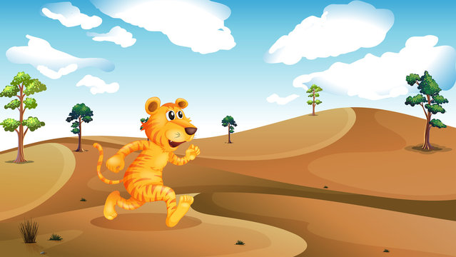 A tiger running in the desert