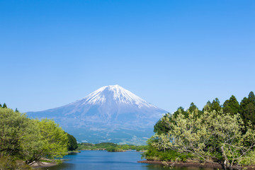 新緑の頃の田貫湖と富士山