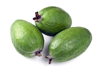 Feijoa (Acca sellowiana)
