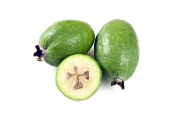 Feijoa (Acca sellowiana)