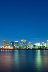 Fototapeta premium 淀川河川敷より大阪のビル群の夜景