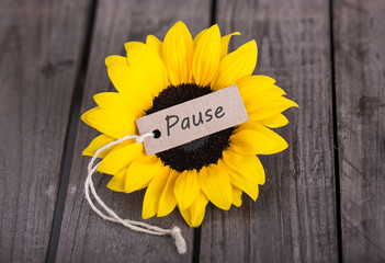 mach mal pause