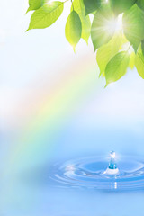 虹と葉と水滴