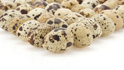 Obraz premium quail egg on white
