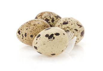 quail egg on white