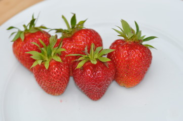 Frische Erdbeeren