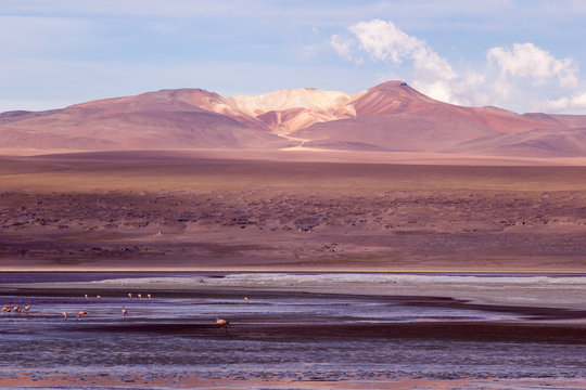Desert and mountain on Altiplano,Bolivia