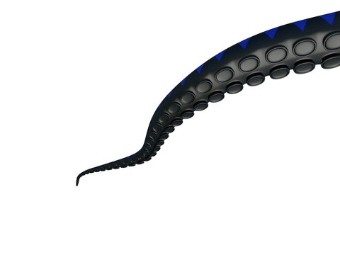 tentacule noir sur fond blanc