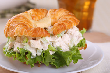 Chicken Salad Sandwich Closeup