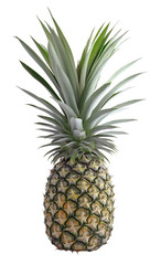 Fototapeta premium Fresh ripe pineapples isolated on white background