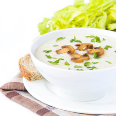 Soft cheese cream soup with mushrooms, parsley and vegetables