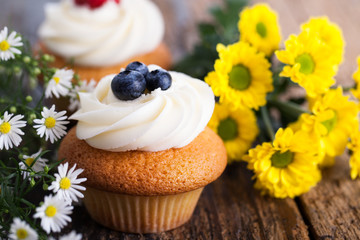 Cupcakes mit Blaubeeren und Dekoration