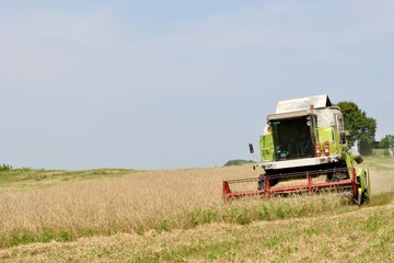 Obraz premium Combine in the field during harvesting with space on left side