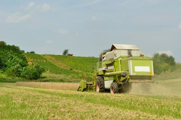 Combine harvester in the wheat field during harvesting